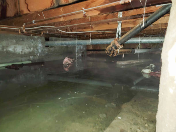 Best Commercial water damage restoration  in Kennett Square, PA