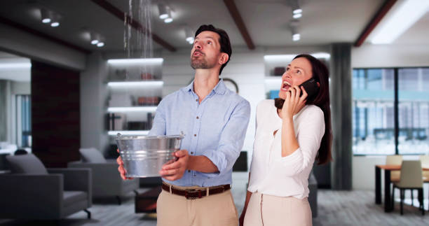 Best Ceiling water damage repair  in Kennett Square, PA