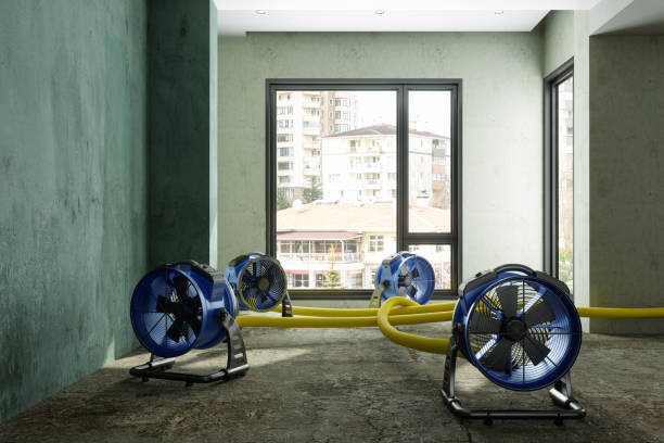 Best Local water damage restoration  in Kennett Square, PA